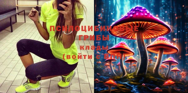 гашик Алзамай