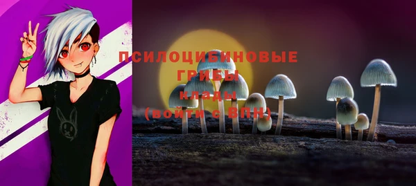 гашик Алзамай