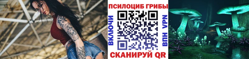 Псилоцибиновые грибы Psilocybe  Арзамас 