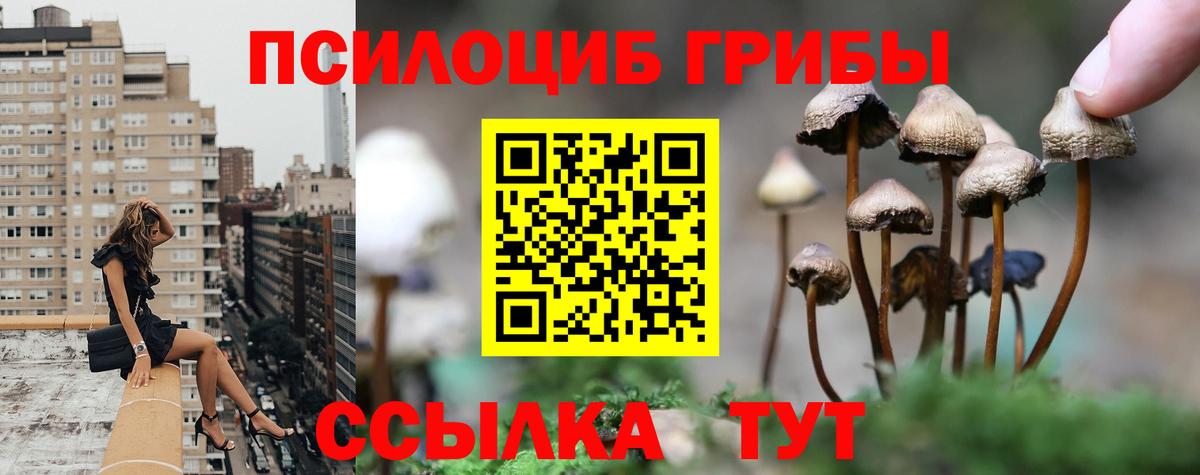 Галлюциногенные грибы Psilocybe  Вход с VPN  продажа наркотиков  Арзамас 